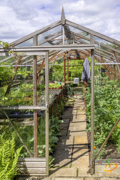 Tips for Growing More in a Greenhouse πͺ΄