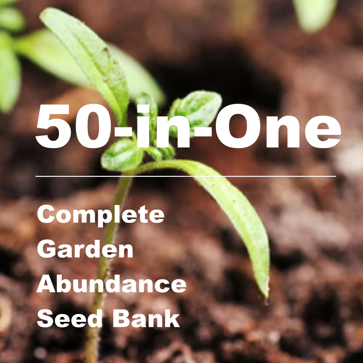 *New!* 50-in-One Complete Garden Abundance Collection (with Black Seed Storage Vault)