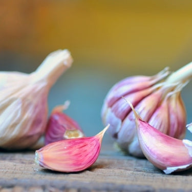 Organic Garlic (Soft-neck) Garden Variety Pack