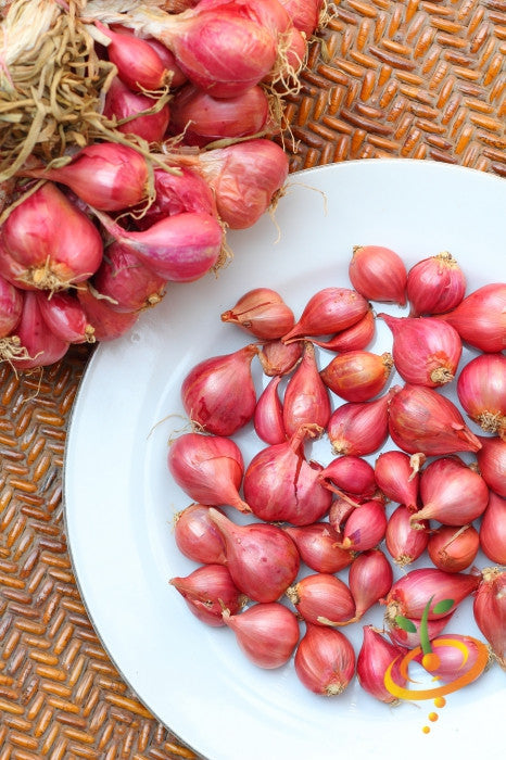 Organic red shallot sets from SeedsNow-Shallot, Holland, showing fresh, vibrant shallots ready for planting or culinary use.