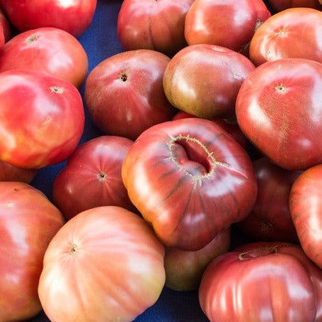 Cluster of ripe Pink Brandywine Tomatoes with pinkish-red color and ribbed shoulders