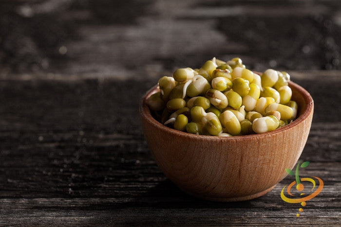 Bowl of organic green pea sprouts with visible green seeds on rustic wooden surface