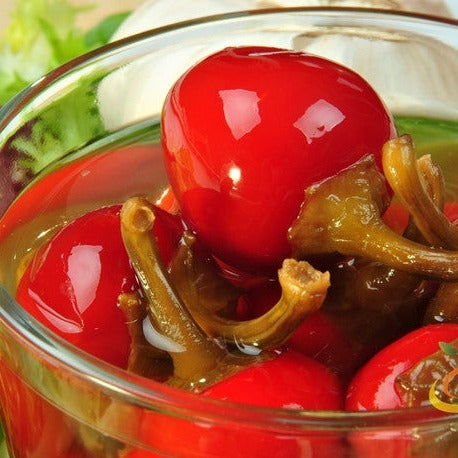 Pepper (Hot) - Cherry, Red π₯π₯ - SeedsNow.com