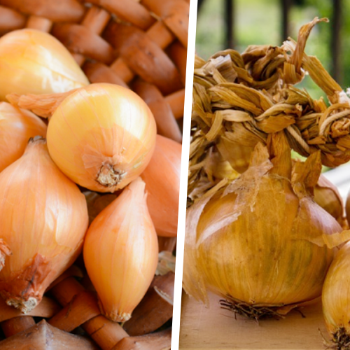 Shallots vs. Onions, What's The Difference?