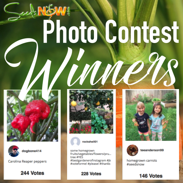 The Results are IN!  //  View Photo Contest Winners & "STAFF PICKS"!