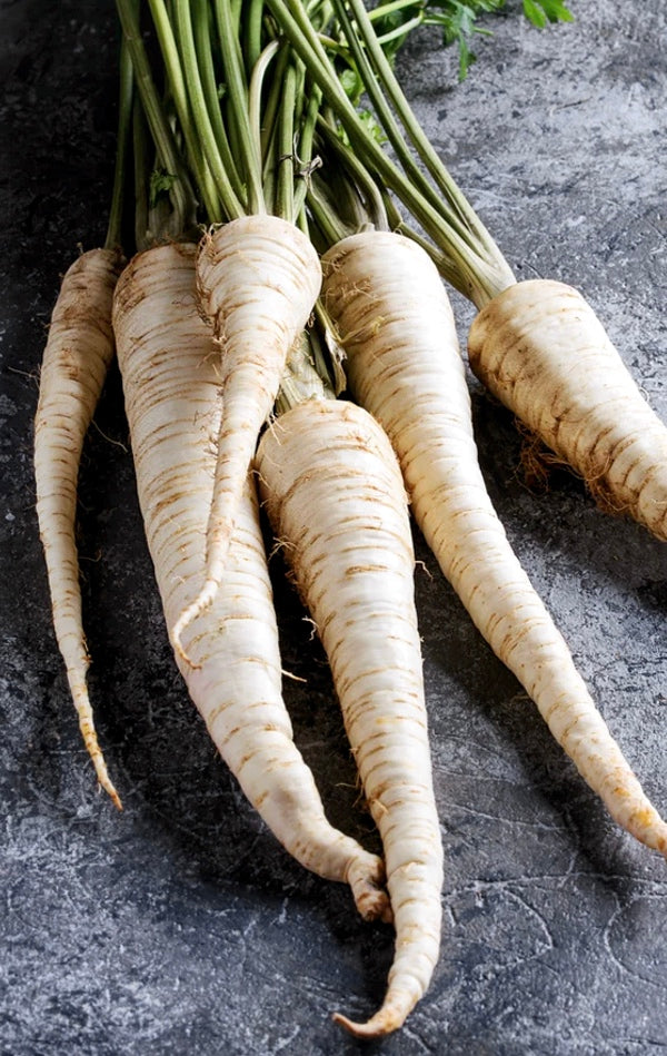 All Parsnip Seeds