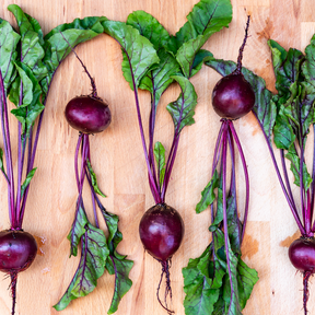 Fresh Crosby's Egyptian beet from SeedsNow, showcasing vibrant, round root with deep red color and lush green leaves.