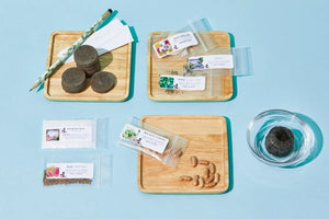 The Seed Club (BASIC PLAN) 3 pack