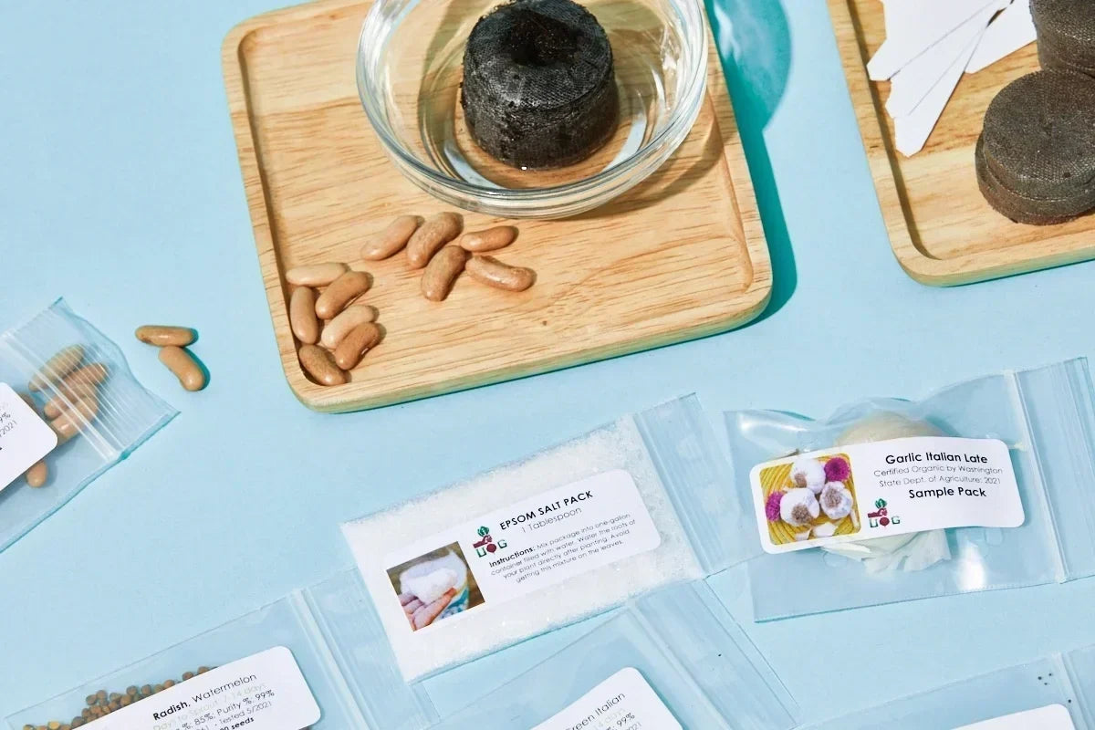 The Seed Club (BASIC PLAN) 3 pack