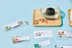 The Seed Club (BASIC PLAN) 3 pack