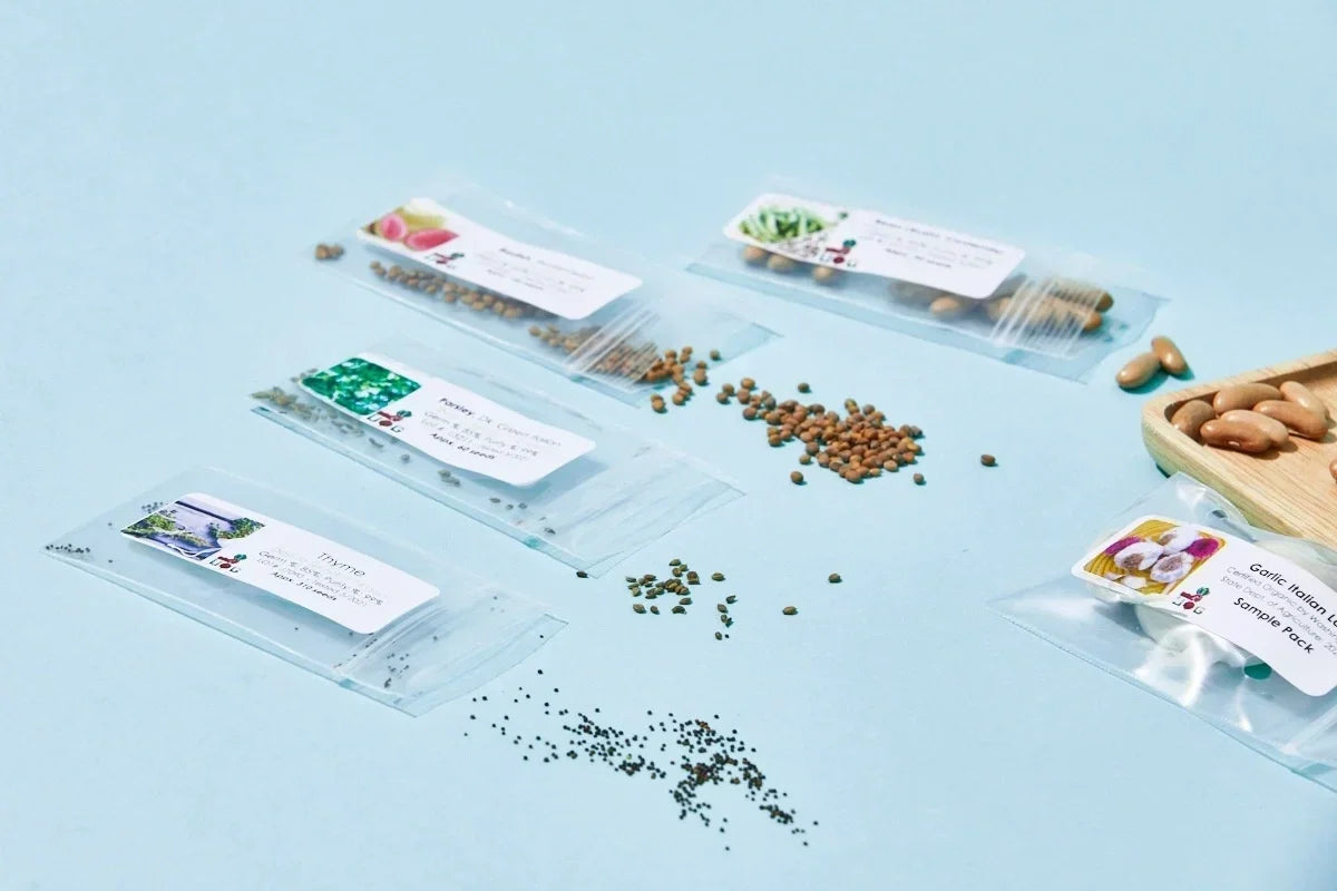 The Seed Club (BASIC PLAN) 3 pack
