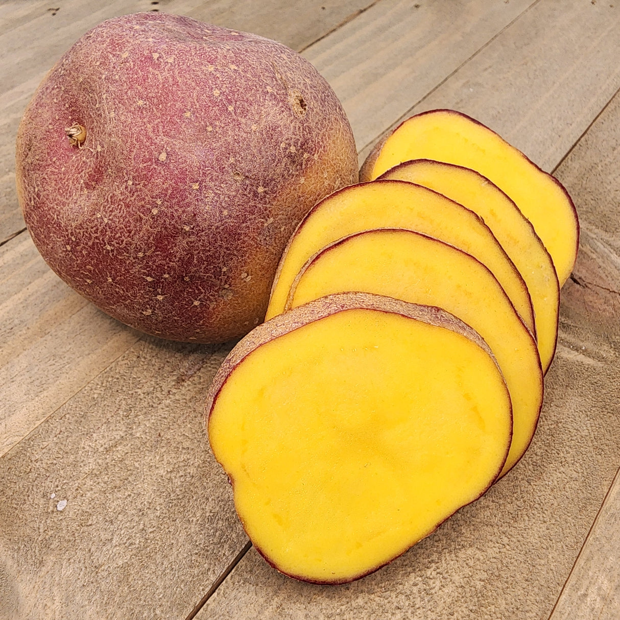 Potato (Early-Season) - Cheshire (Organic rounds)