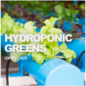 All-in-One Hydroponic Greens Variety Pack from SeedsNow-SeedBanks showing fresh leafy greens in a variety pack for hydroponic growing.
