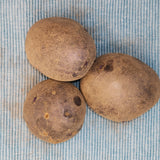 Potato (Mid-Season) - Purple Majesty (Organic rounds) *pre-order*