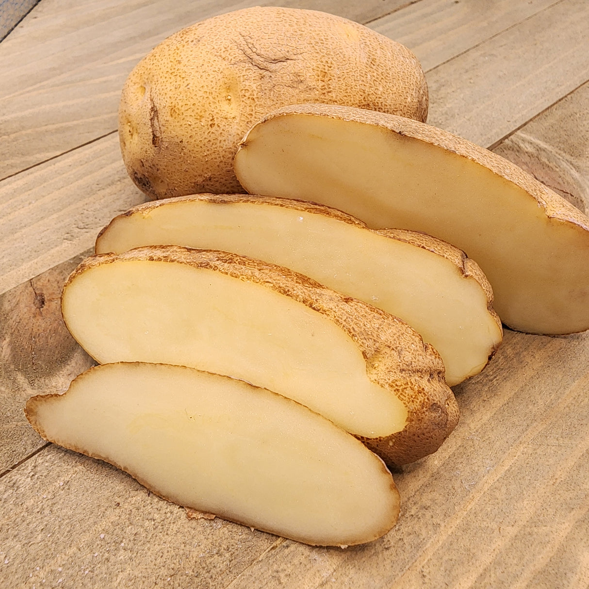 Potato (Mid-Season) - Russet Burbank (Organic rounds)