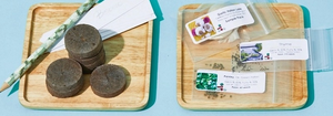 The Seed Club (BASIC PLAN) 3 pack