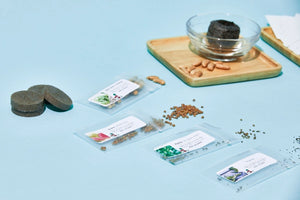 The Seed Club (BASIC PLAN) 3 pack