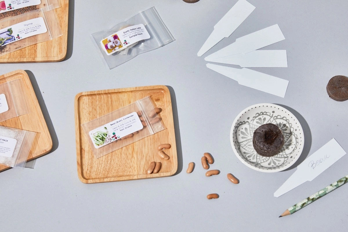 The Seed Club (BASIC PLAN) 3 pack