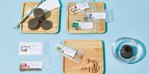 The Seed Club (BASIC PLAN) 3 pack