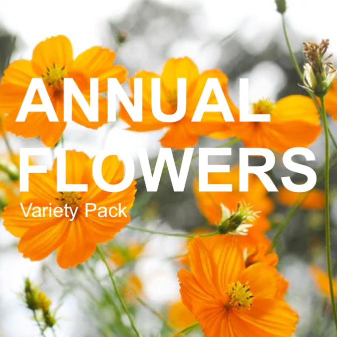 All-in-One Annual Flower Garden Variety Pack