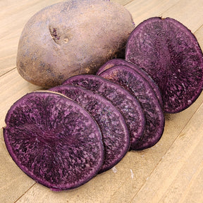 Organic Purple Majesty potato seed, round mid-season variety from SeedsNow-Potatoes, shown as purple-skinned seed potatoes.