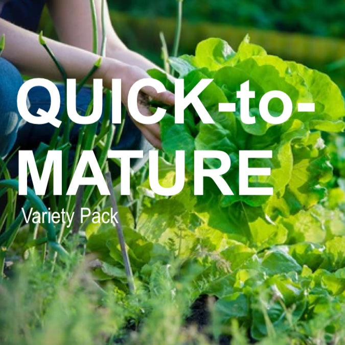 *NEW!* Quick-to-Mature (45 days or less!) Garden Variety Pack