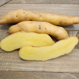 Potato, Fingerling (Late-Season) - Russian Banana (Organic)