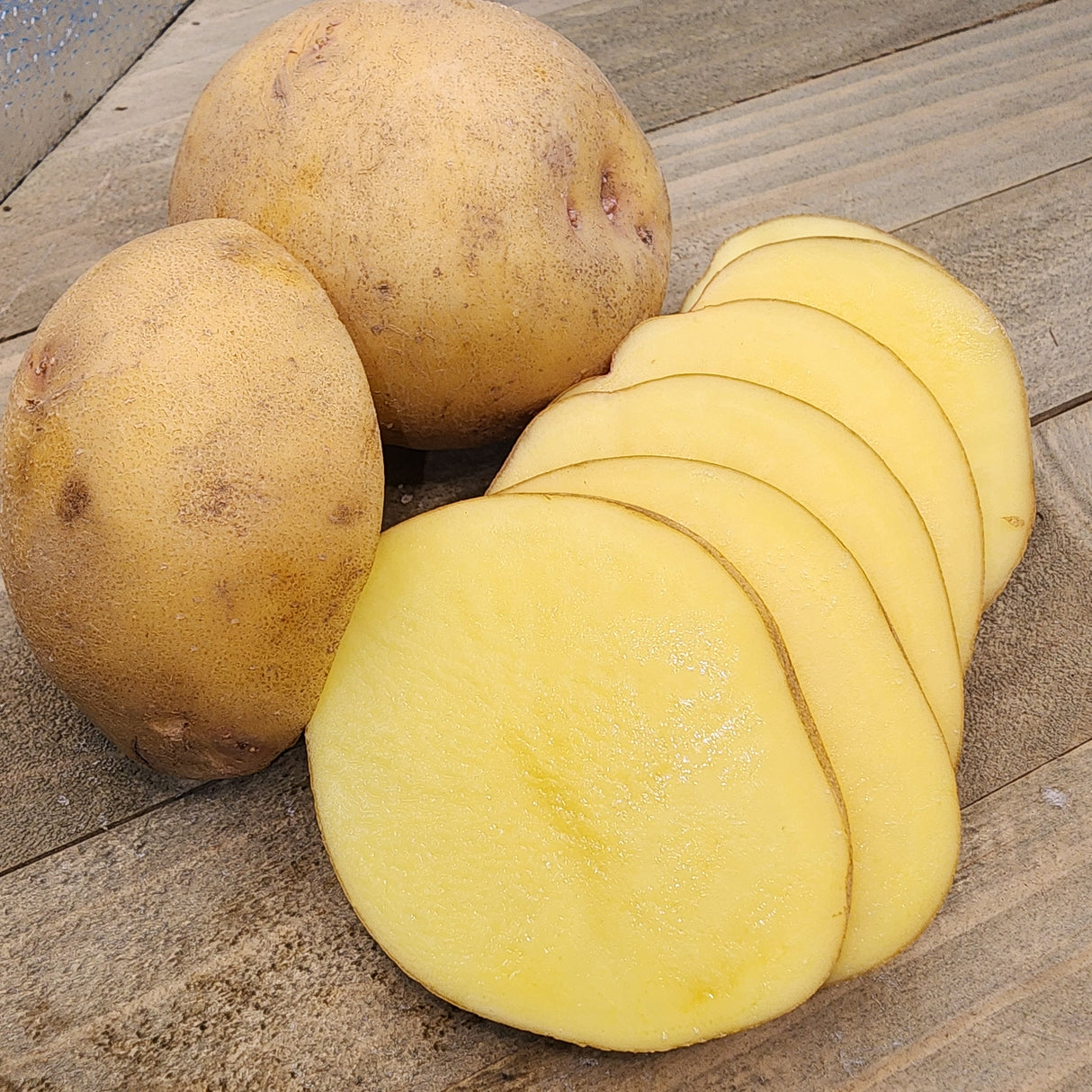 Potato (Early-Season) - Yukon Gold (Organic rounds)