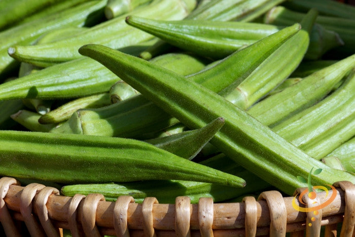 Okra - Clemson Spineless.