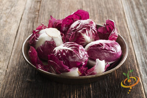 Radicchio - Classic Red.