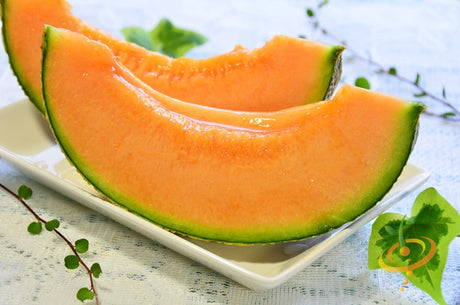 Two slices of bright orange Hales Best Jumbo cantaloupe melon on a white plate with green rind and a light background