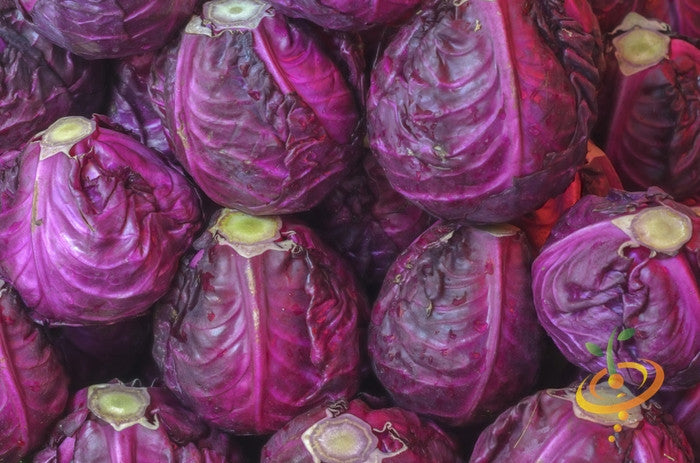 Cabbage - Acre, Red.