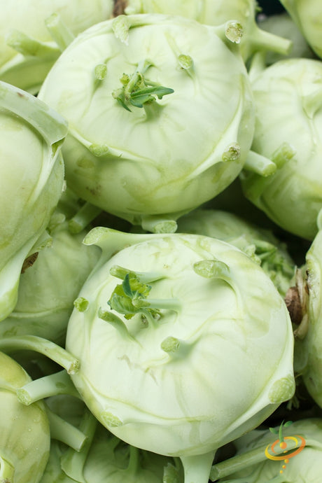 Close-up of fresh Kohlrabi Delicatesse with tender round bulbs and pale green skin