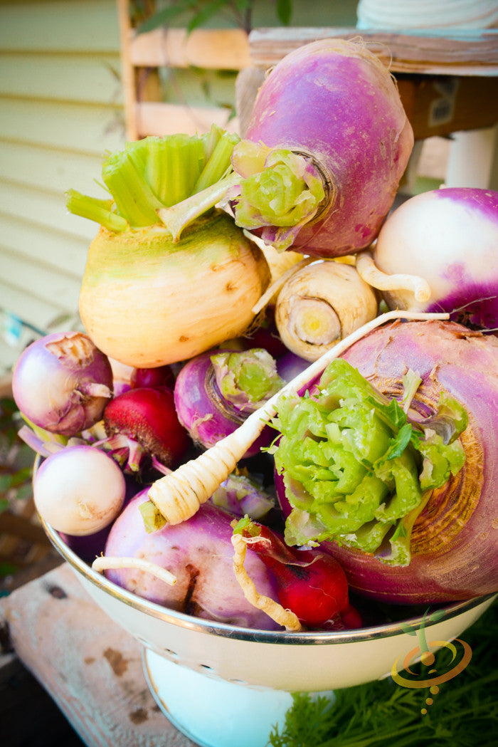 Turnip - Purple Top White Globe.