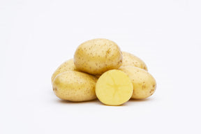 Early-season Albertine potatoes with yellow skin and flesh, smooth skin, shallow eyes, and one cut in half showing yellow interior