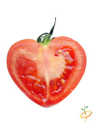 Tomato - Oxheart, Pink (Indeterminate) - SeedsNow.com